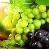 grapes_kazan_s